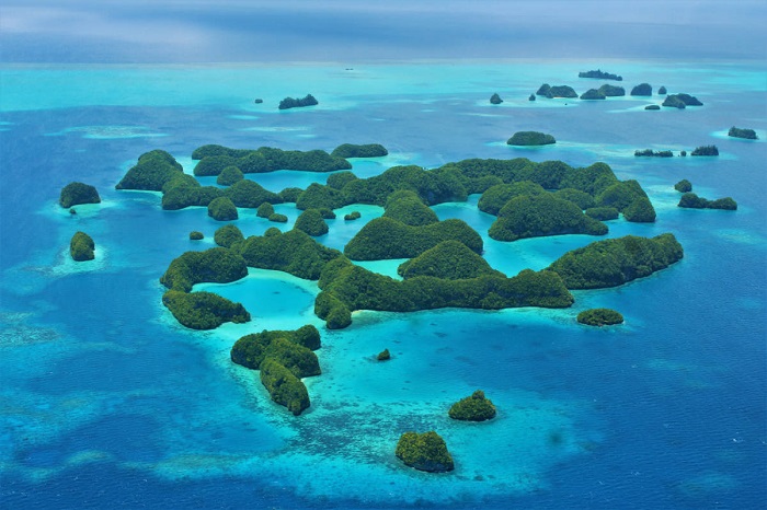 Species of Rock Islands Palau
